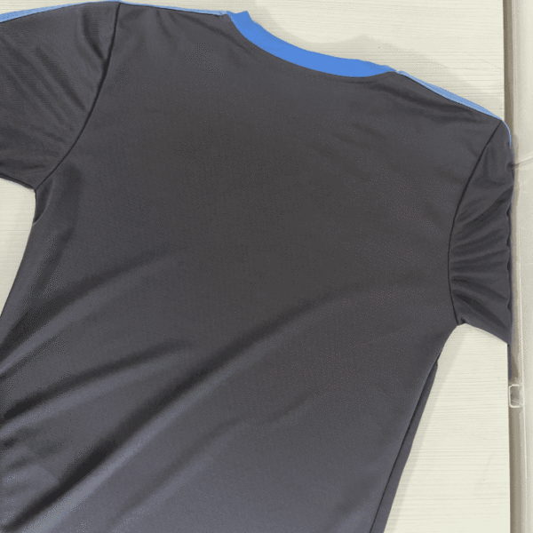 Camiseta AFA gris - Imagen 2