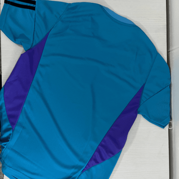 Camiseta AFA celeste - Imagen 2